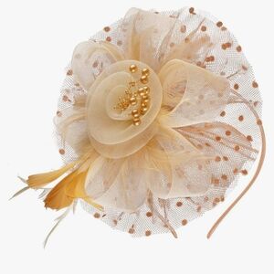 Elegant Beige Fascinator with Feathers